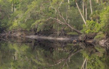 Winter Springs Florida Water Quality