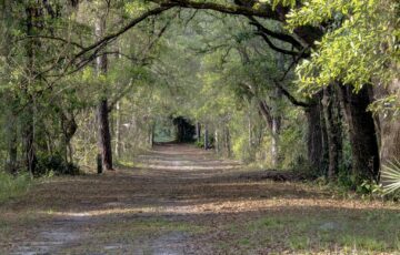 Retired Director of the Florida Park Service and Past Audubon Florida Executive Director, Eric Draper, Endorses Victoria Colangelo