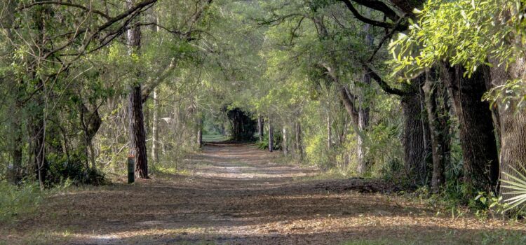 Retired Director of the Florida Park Service and Past Audubon Florida Executive Director, Eric Draper, Endorses Victoria Colangelo