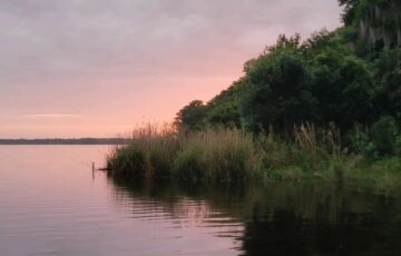 Lake Jesup Restoration Site