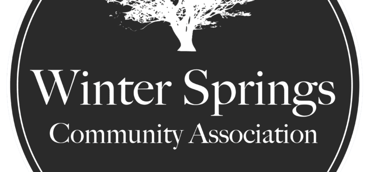 Assessing Mismanagement and Malfeasance in Winter Springs