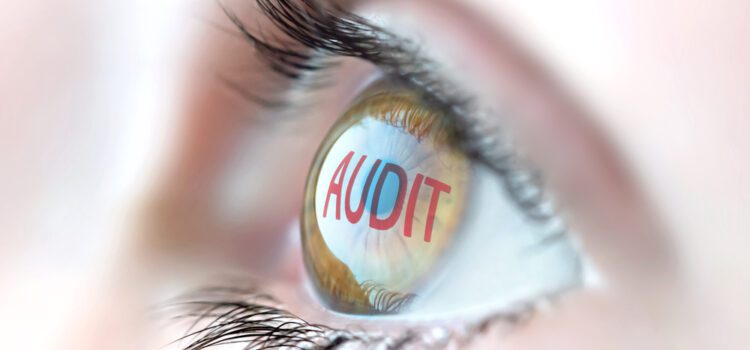 Understanding the City Audit: What Every Winter Springs Resident Needs to Know