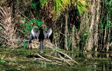 Addressing Critical Water Quality Issues in Winter Springs