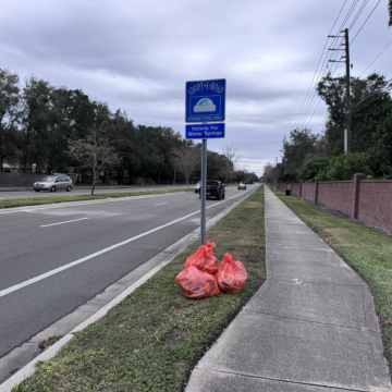 victoria for winter springs cleanup 1