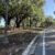 Shining a Light on the Future of Tuscawilla