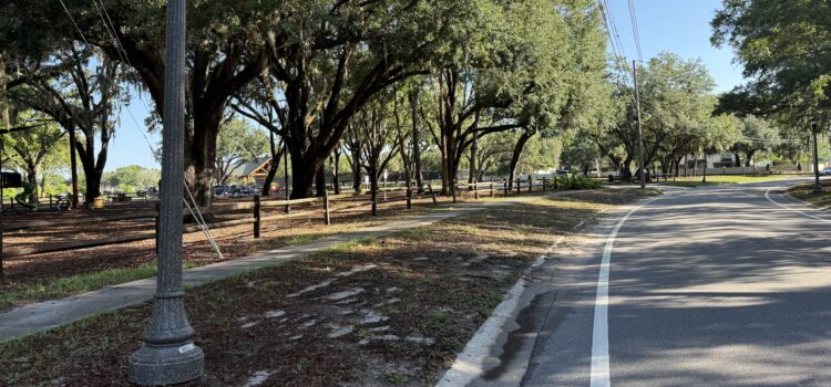 Shining a Light on the Future of Tuscawilla